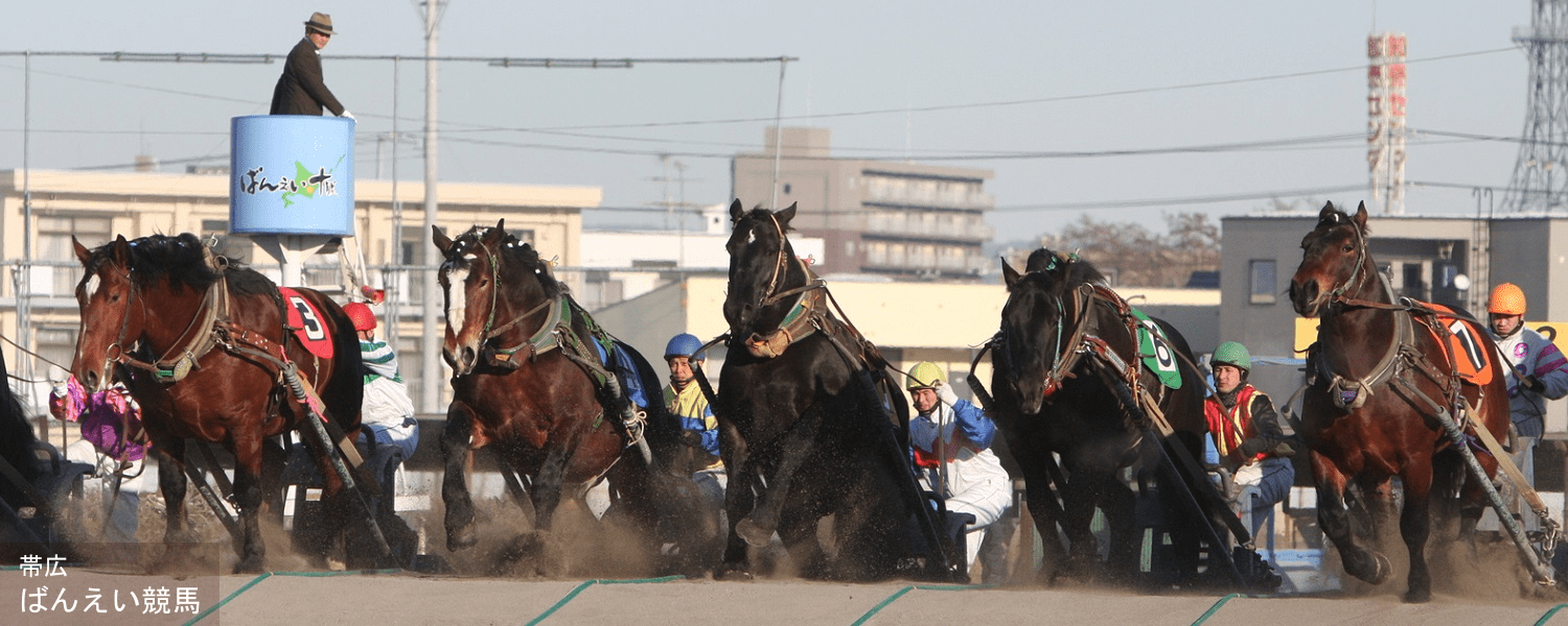 帯広　ばんえい競馬
